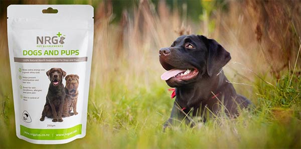 NRG Plus - Dogs and Pups Supplements New Zealand
