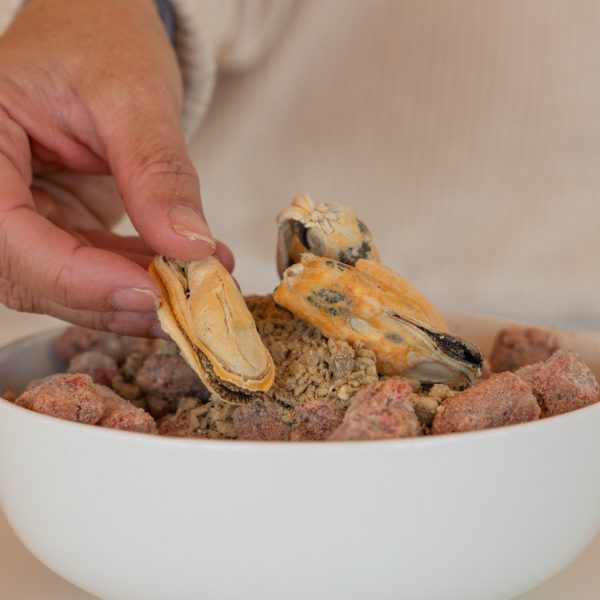 Green Lipped Mussel Powder